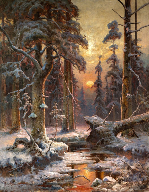 sunset in a spruce forest
